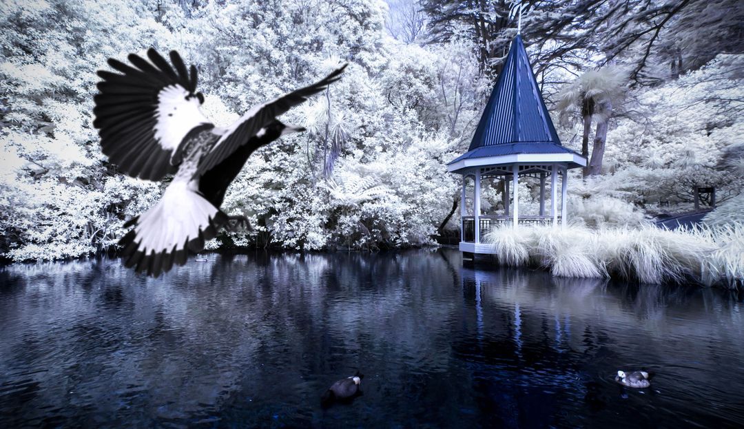 Serene Winter Scene with Gazebo and Birds by Icy Lake - Free Images, Stock Photos and Pictures on Pikwizard.com