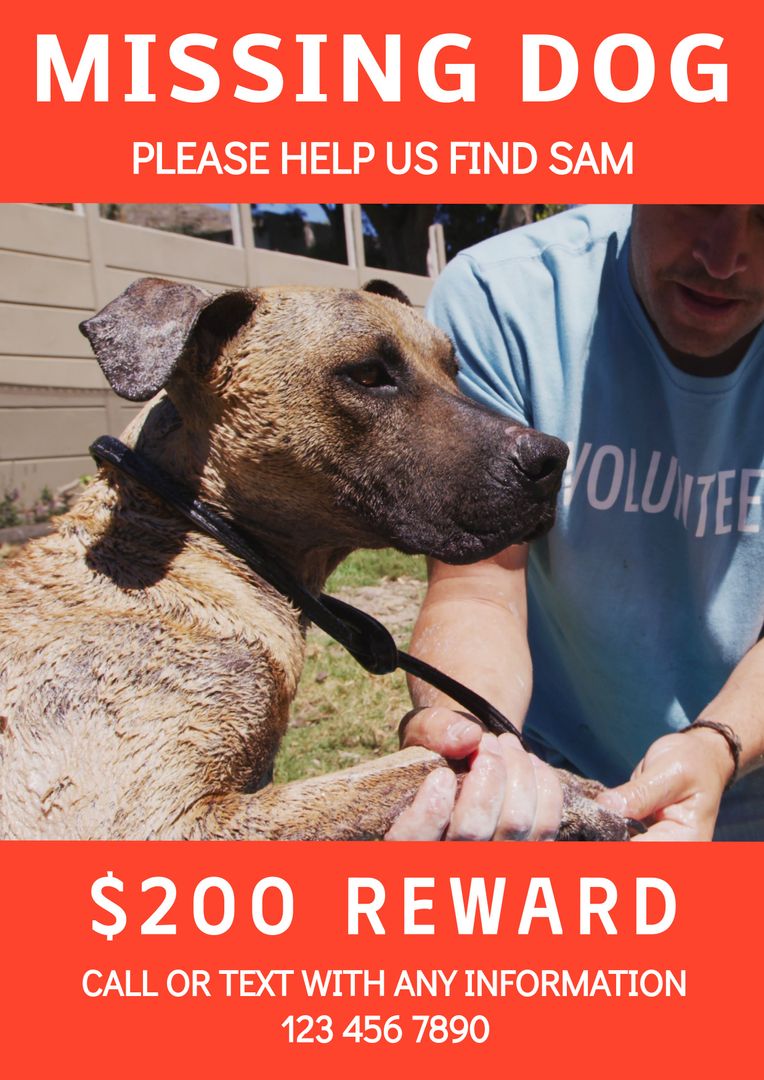 Missing Dog Reward Poster Over Massaging Volunteer with Dog - Download Free Stock Templates Pikwizard.com