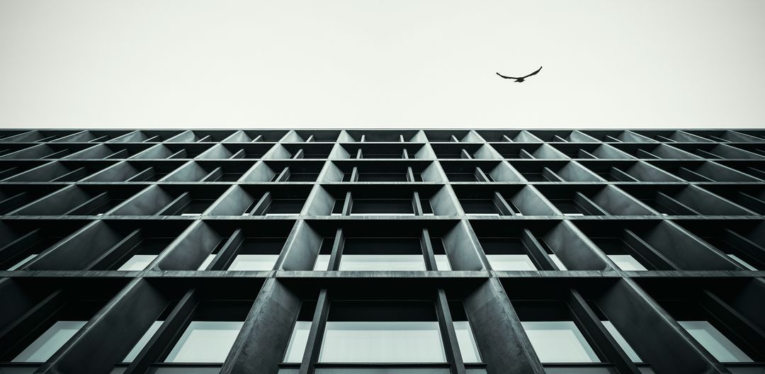 Modern Building Facade with Bird Flying in Sky - Free Images, Stock Photos and Pictures on Pikwizard.com