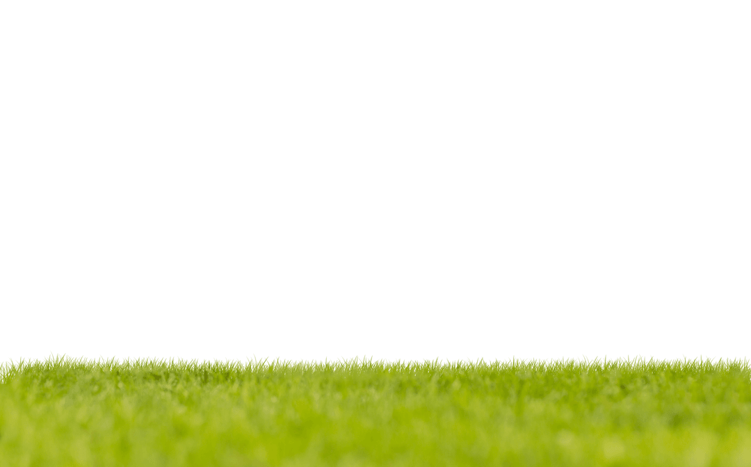 Blurred Green Grass on Transparent Background