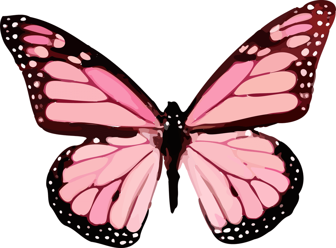 Elegant Pink Butterfly Design on Transparent Background