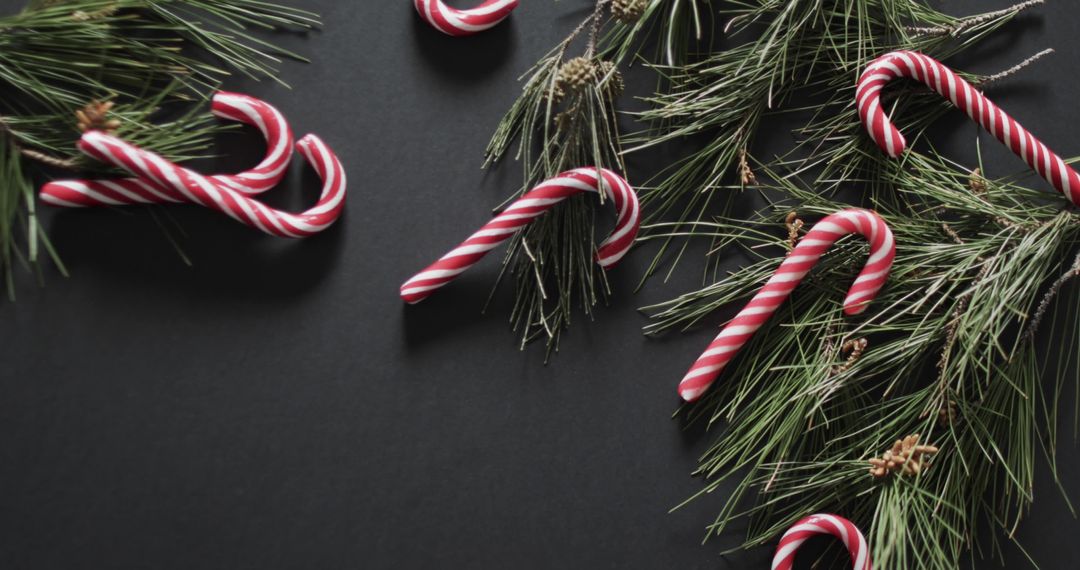 Festive Candy Canes with Evergreen Branches on Dark Background