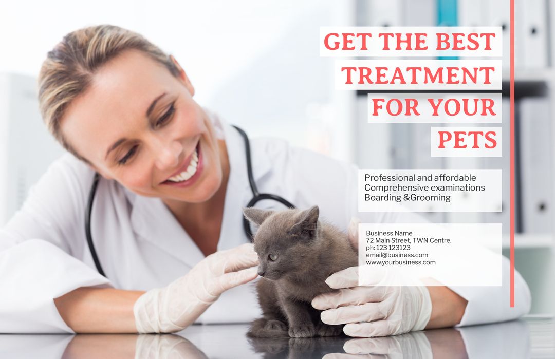 Caring Veterinarian Examining Kitten in Veterinary Clinic