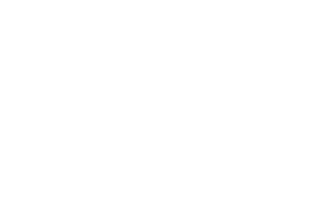 Transparent Stylized Christmas Tree Illustration on White Shapes