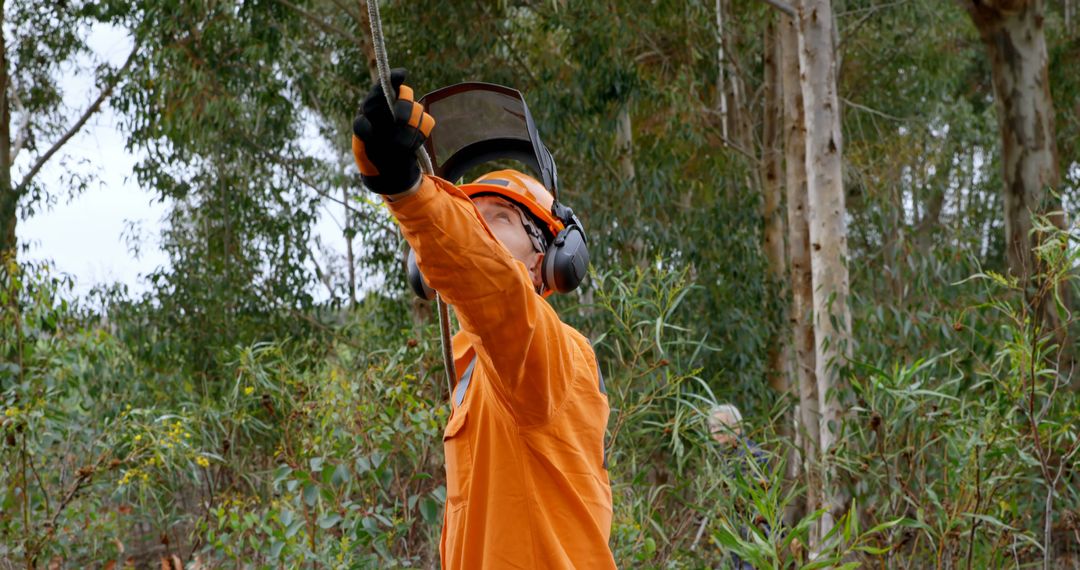 Forestry Worker in Protective Gear Operating Equipment in Forest - Free Images, Stock Photos and Pictures on Pikwizard.com