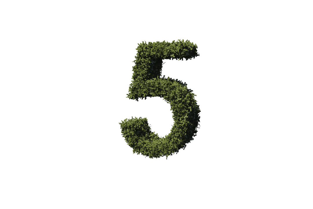 Leafy Number 5 Illustration on Transparent Background