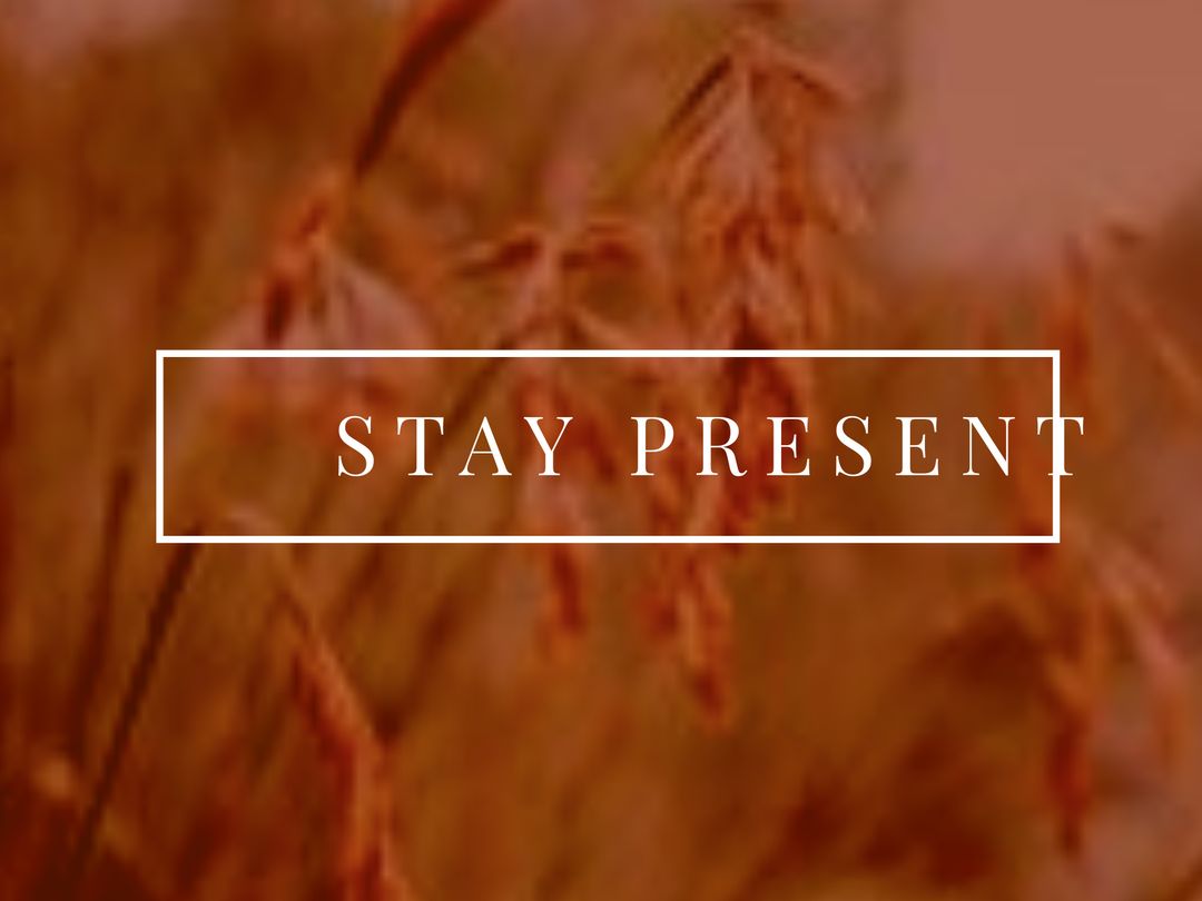 Inspirational Message on Tranquil Wheat Field Background