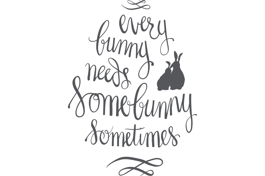 Every Bunny Needs Somebunny Text on Transparent Background