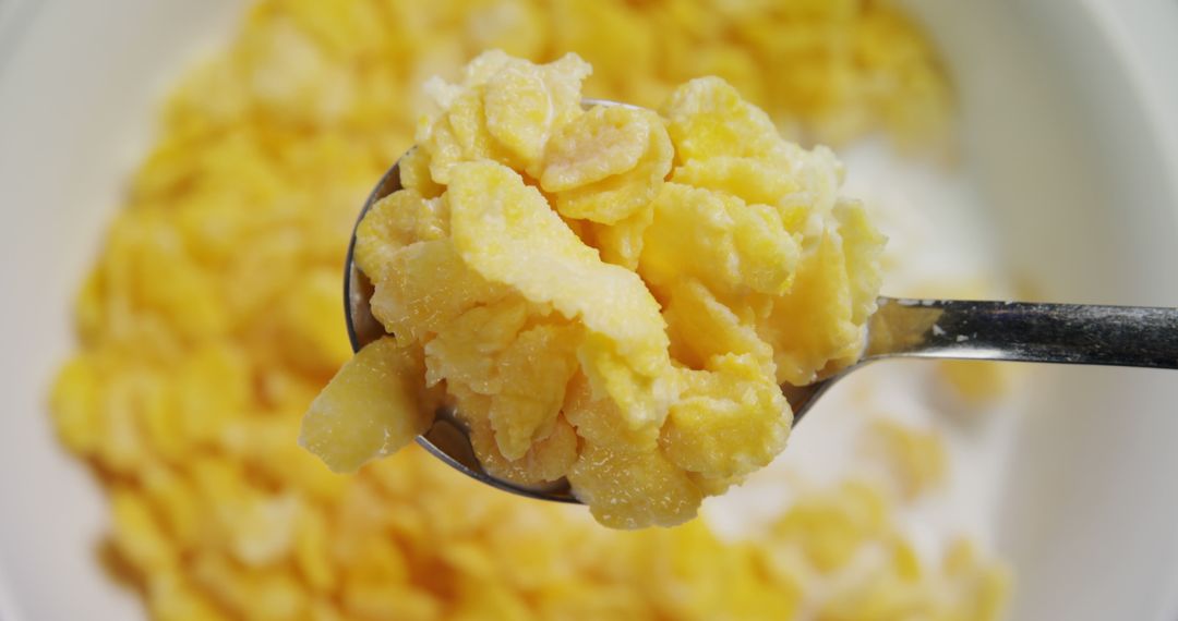 Close-Up of Spoonful of Cornflakes in Milk - Free Images, Stock Photos and Pictures on Pikwizard.com