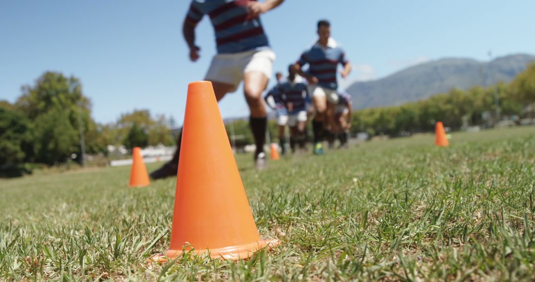 Rugby Players Running Drills on Field, Focus on Cone - Free Images, Stock Photos and Pictures on Pikwizard.com