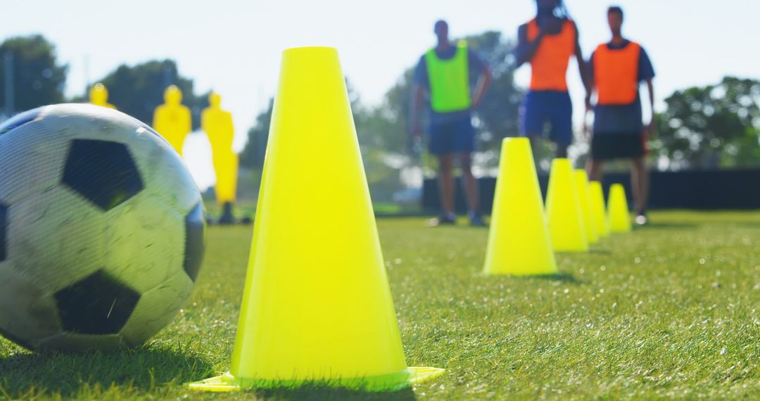 Soccer Training Session with Cones on Green Field - Free Images, Stock Photos and Pictures on Pikwizard.com