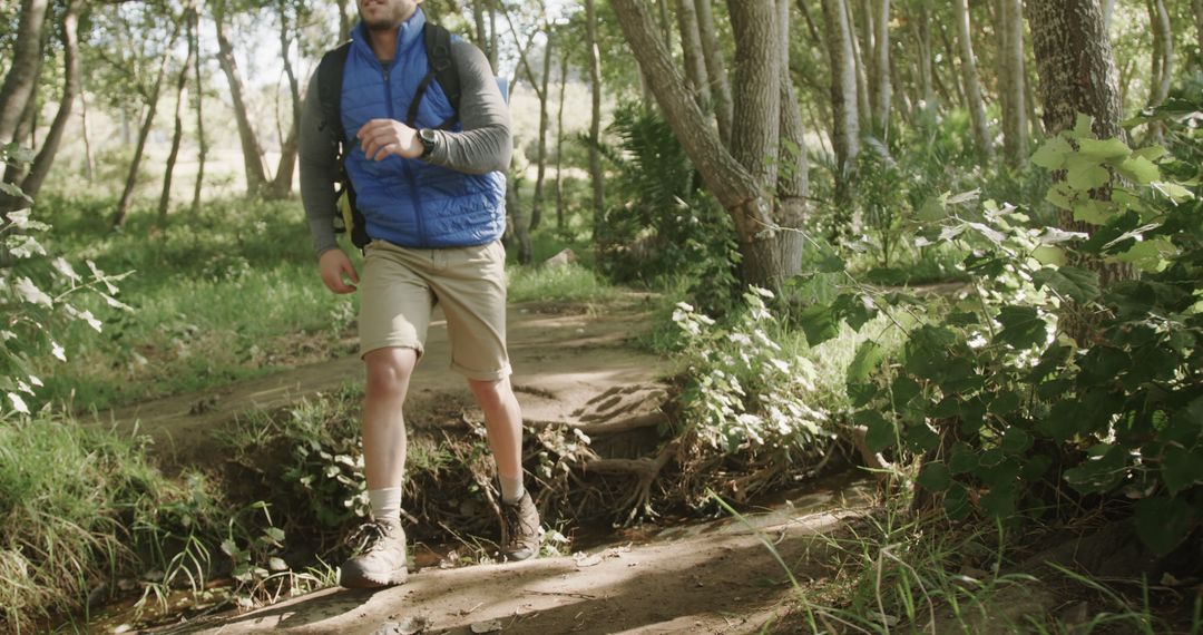 Man Hiking Through Sunlit Forest Trail Adventure
