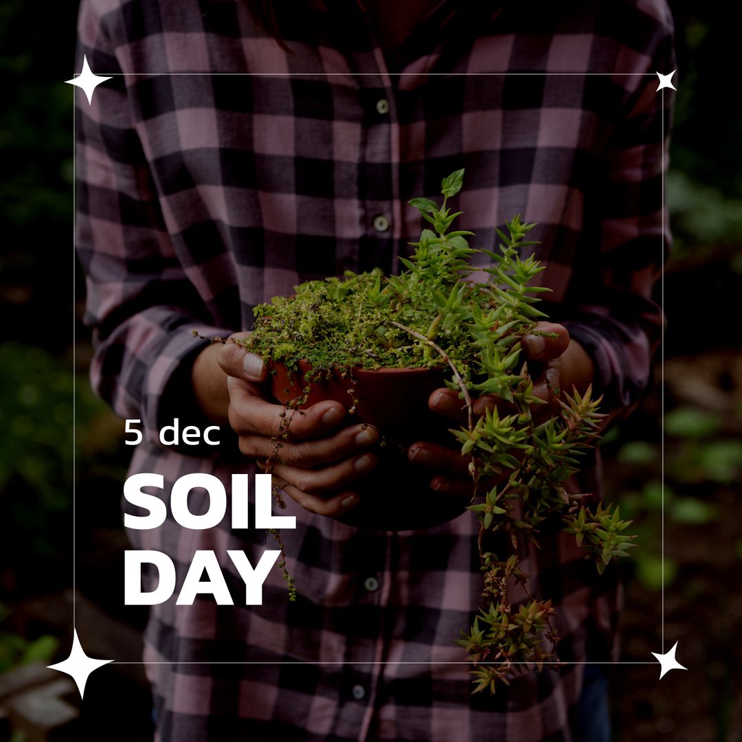 Hands Holding Potted Plant Celebrating Soil Day