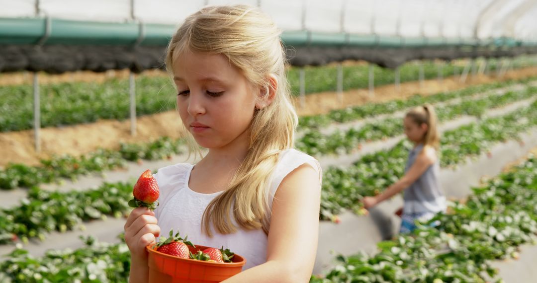 Caucasian girl examines a strawberry at a farm - Free Images, Stock Photos and Pictures on Pikwizard.com