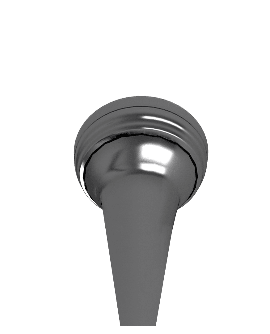 Transparent View of Shadowy Torch in Monochrome Tones