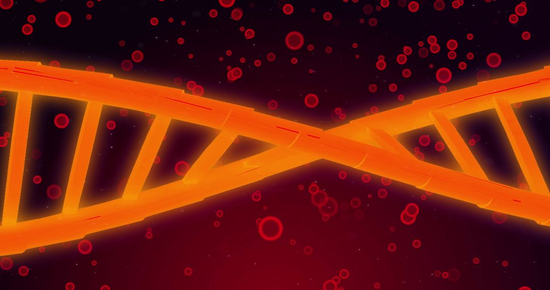 Digital Rendering of DNA Helix and Red Blood Cells