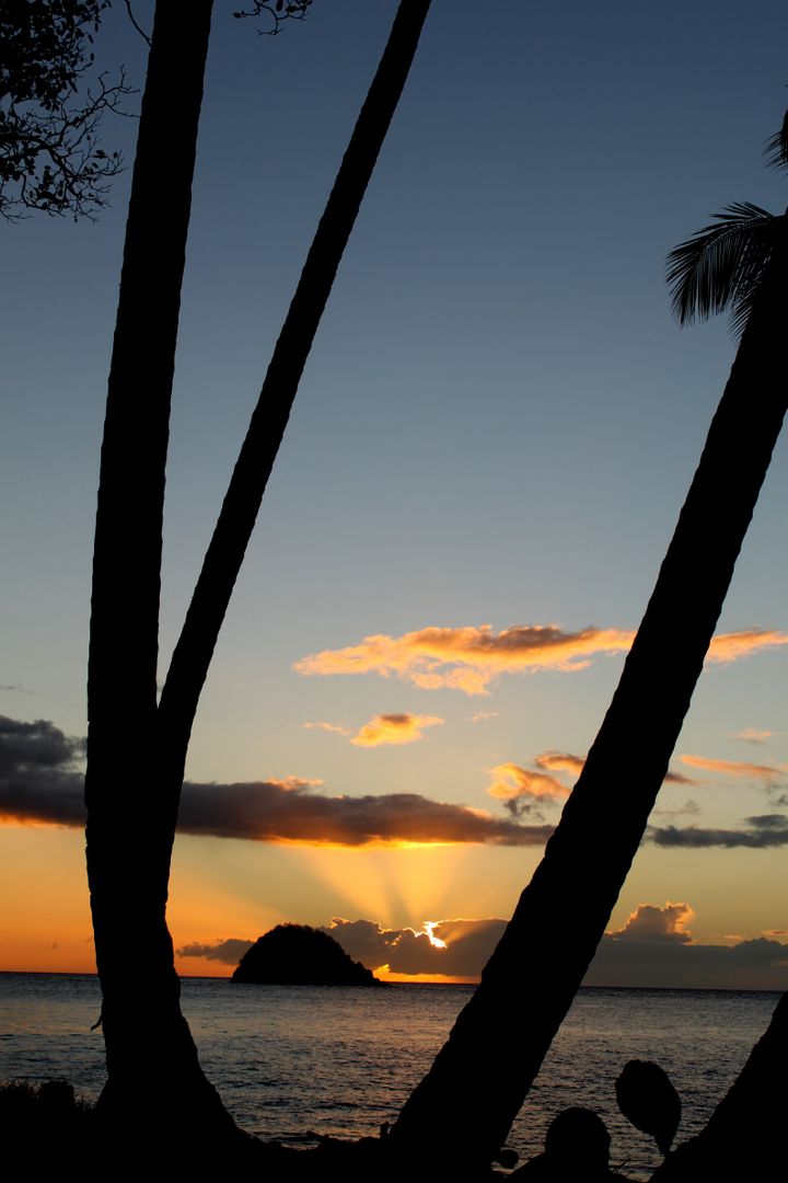 Tropical Island Sunset with Silhouetted Palm Trees - Free Images, Stock Photos and Pictures on Pikwizard.com