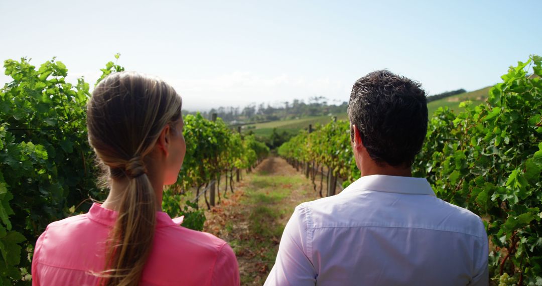 Couple Enjoying View Over Verdant Vineyard