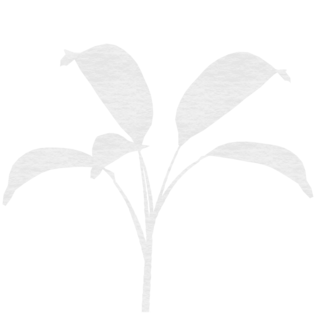 Transparent Silhouette of Leaves on Transparent Background