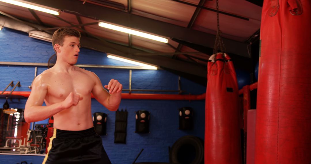 Young Man Training in Gym with Punching Bags for Boxing Workout - Free Images, Stock Photos and Pictures on Pikwizard.com