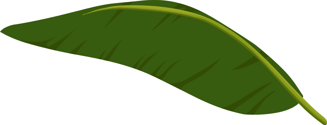 Stylized Tropical Green Leaf on Transparent Background
