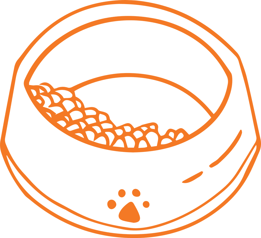 Vector Pet Food Bowl with Kibble on Transparent Background