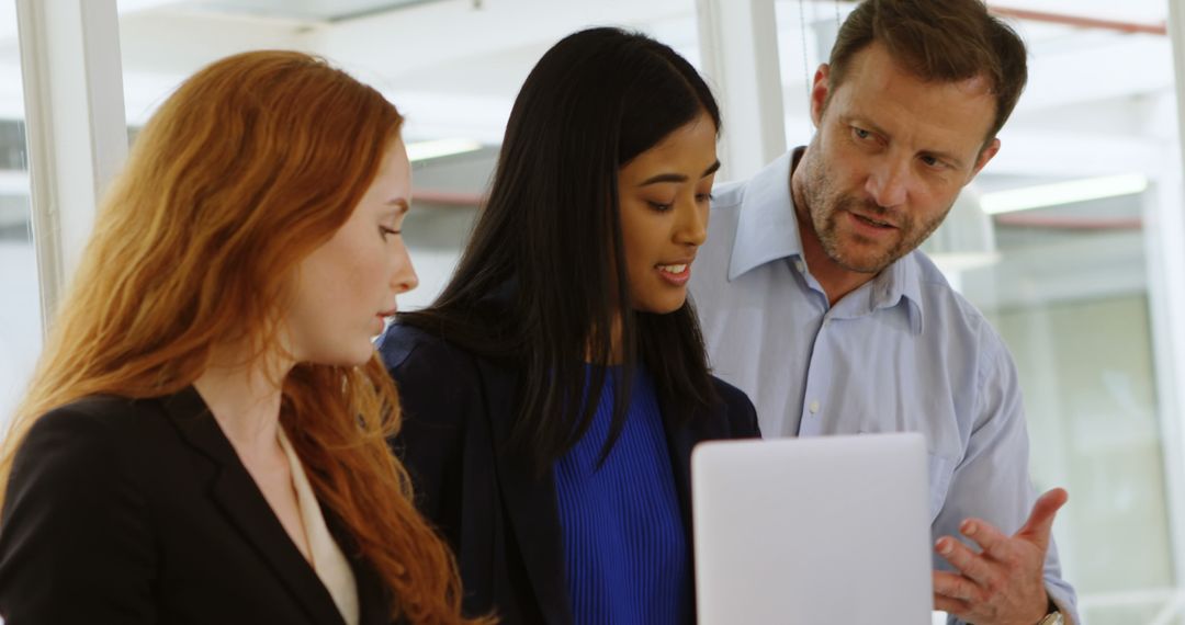 Business Team Collaborating on Project in Modern Office Environment