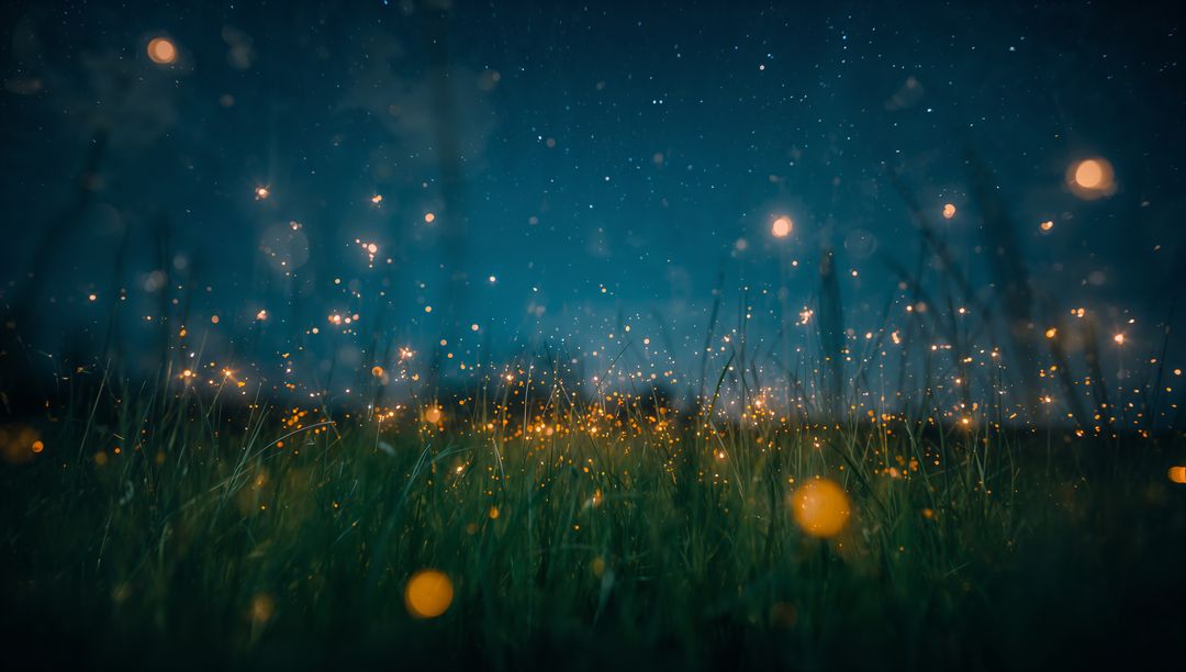Enchanted Meadow with Glowing Fireflies Under Starry Sky