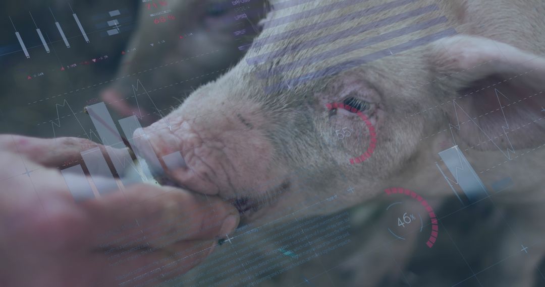 Data Dashboard Overlay with Progress and Food Concepts on Farm