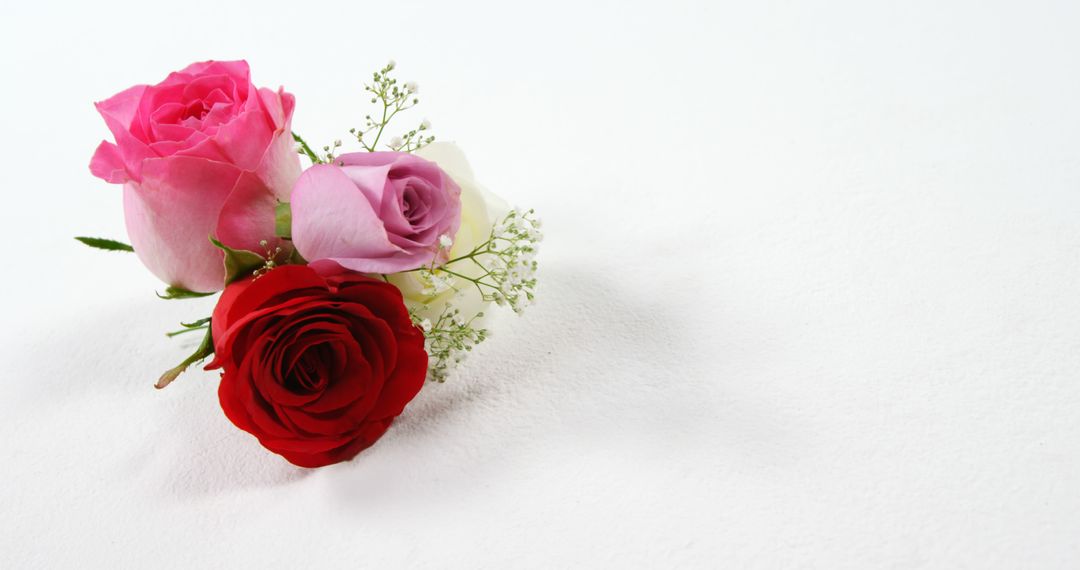 Elegant Bouquet with Red and Pink Roses on White Background - Free Images, Stock Photos and Pictures on Pikwizard.com
