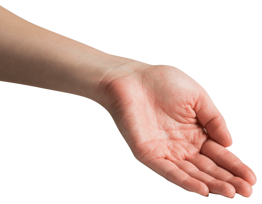 Outstretched Woman's Hand on Transparent Background