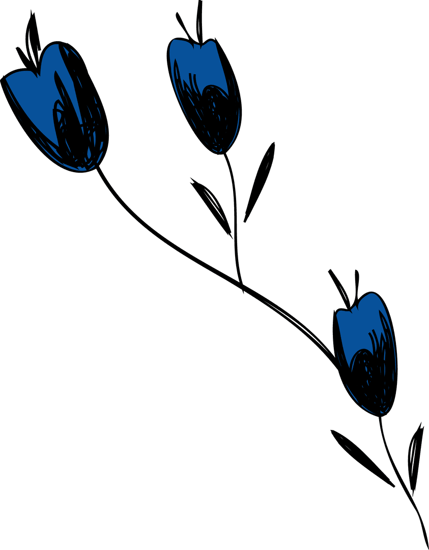 Blue Tulip Buds with Stem on Transparent Background