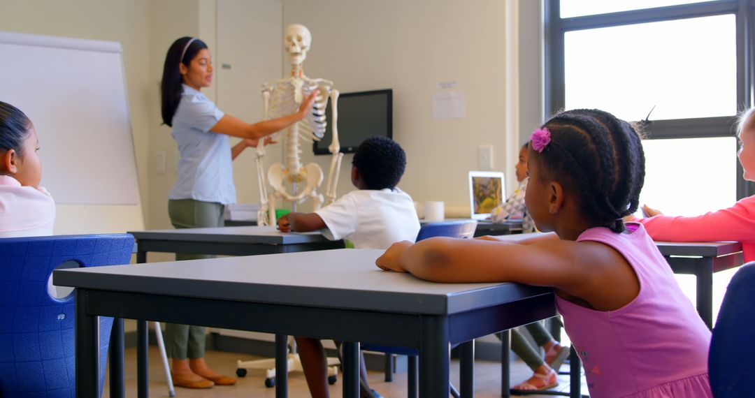 Teacher Demonstrating Human Skeleton Model to Attentive Students