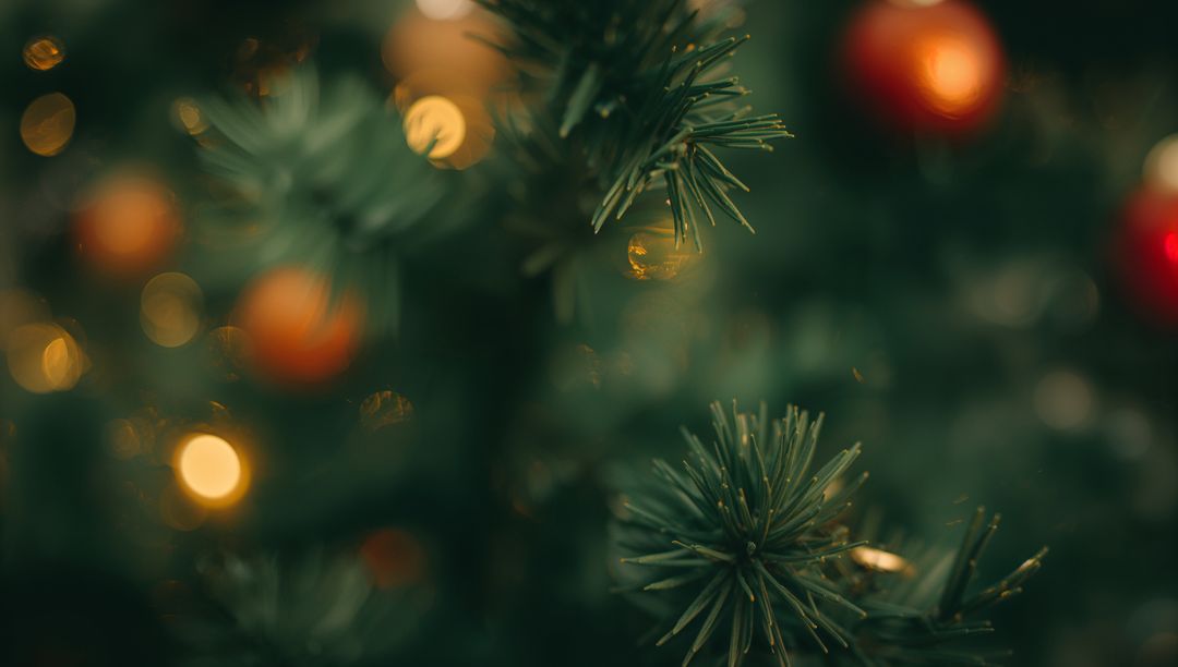 Warm Bokeh on Evergreen Needles with Red and Gold Ornaments for Holiday Background