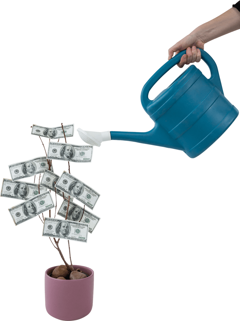 Transparent Watering Can Nurtures Money Tree Prosperity