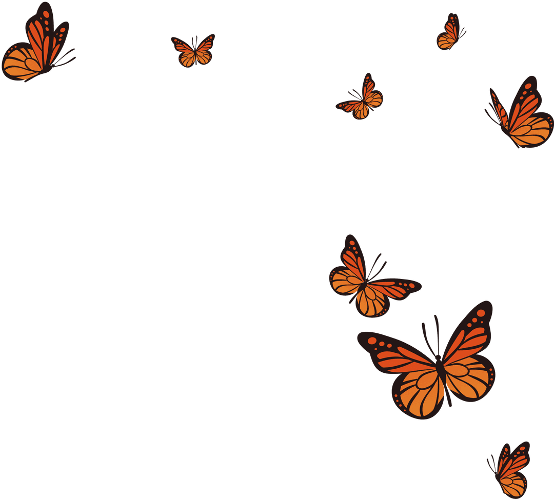 Monarch-Inspired Orange Butterflies with Transparent Backdrop in Vector Art