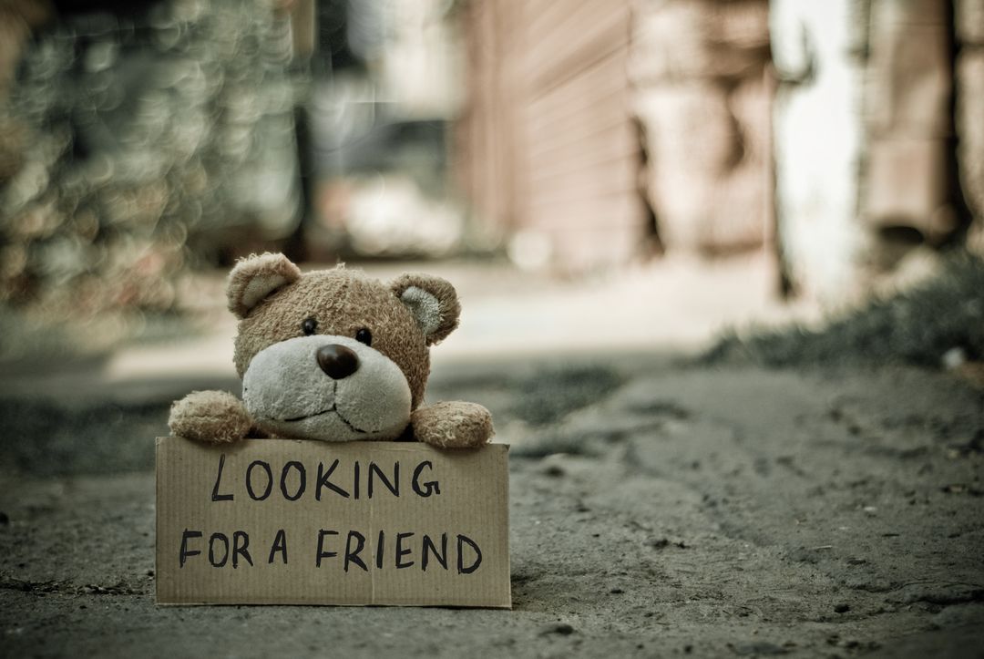 Lonely Teddy Bear Holding Sign 'Looking for a Friend' in Alley - Free Images, Stock Photos and Pictures on Pikwizard.com