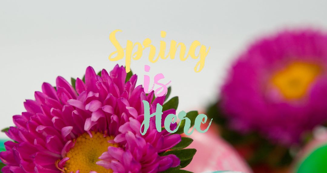 Vibrant Easter Flower with Spring Message