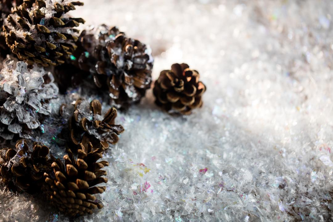 Pine Cones on Sparkling Fake Snow for Christmas Decoration - Free Images, Stock Photos and Pictures on Pikwizard.com