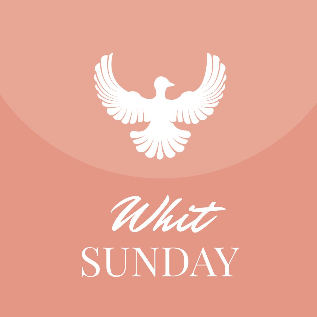 Whit Sunday Celebration Bird Symbol on Pink Background
