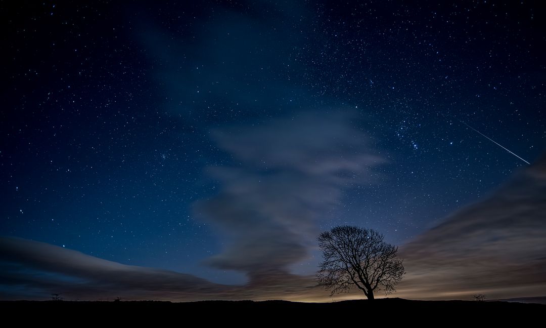 Night Sky with Lone Tree and Meteor Shower - Free Images, Stock Photos and Pictures on Pikwizard.com