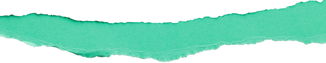Green torn paper edge on transparent background with copy space