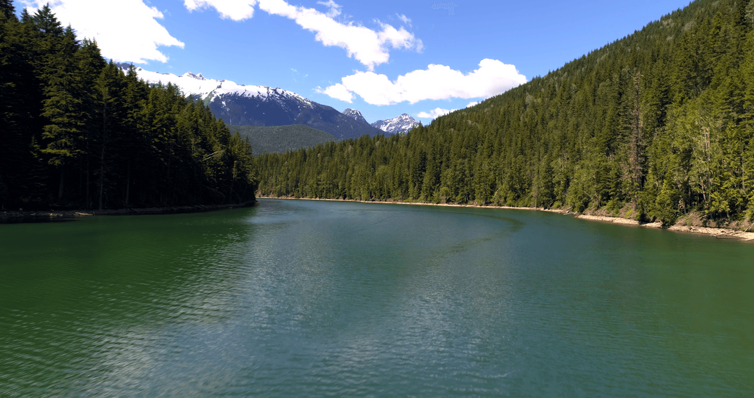 Transparent Mountain Lake Reflecting Forest Pines and Clear Sky