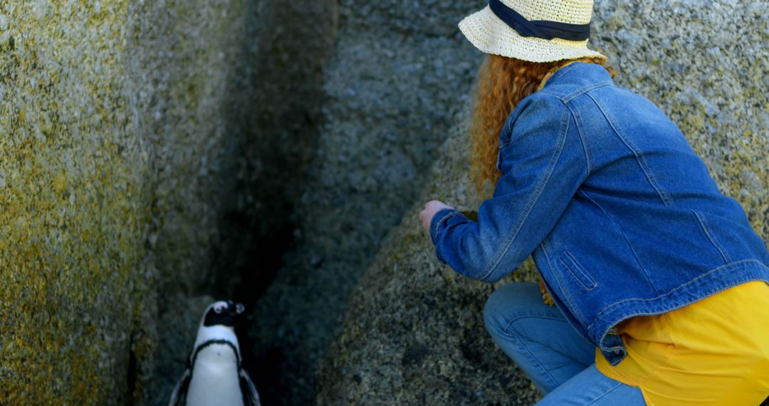 Woman Observing Penguin in Rocky Landscape - Free Images, Stock Photos and Pictures on Pikwizard.com