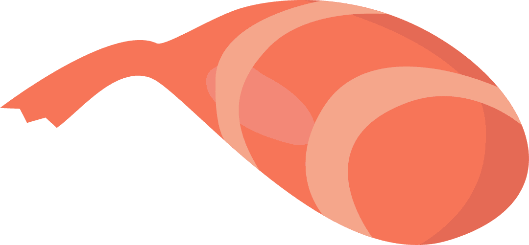 Stylized Salmon Fillet Slice on Transparent Backdrop