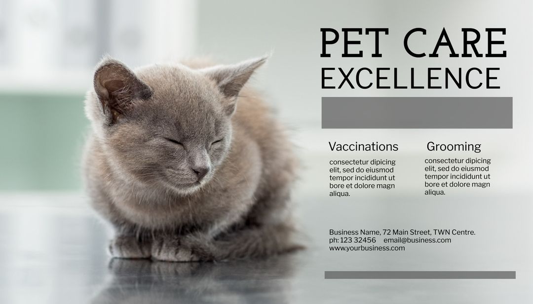 Pet Care Excellence Ad with Serene Cat Highlighting Vaccinations and Grooming Services - Download Free Stock Templates Pikwizard.com
