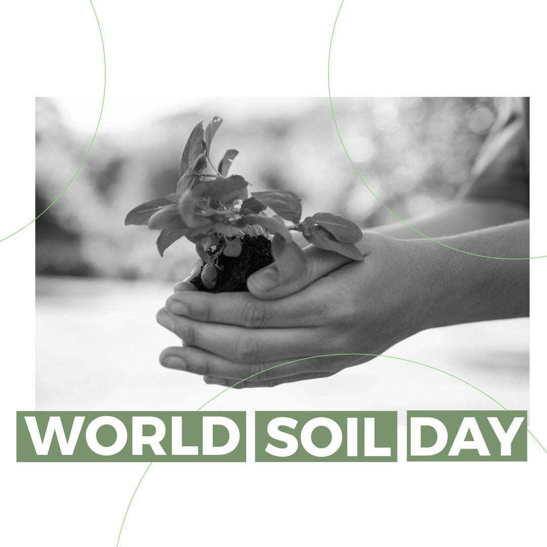 Celebrating World Soil Day with Sustainability and Growth