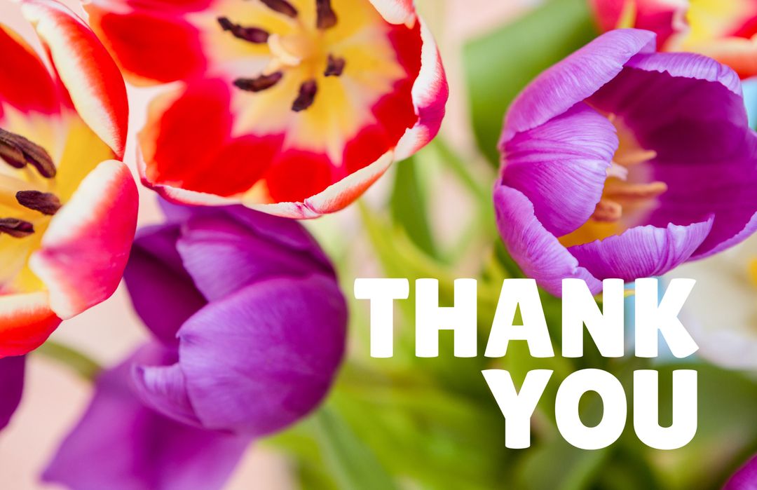 Colorful Tulips with Bold Thank You Message