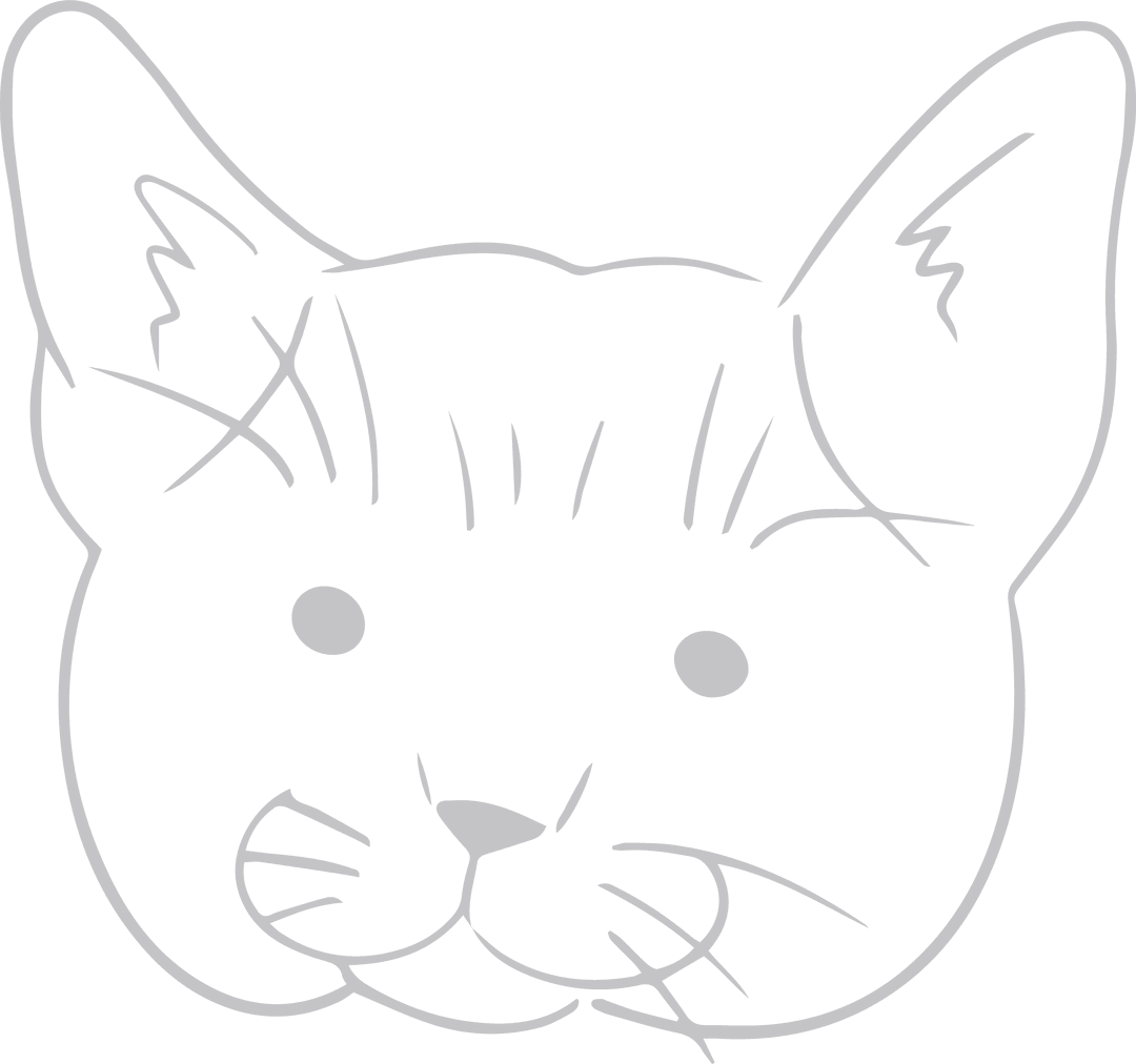 Minimalist Cat Head Line Drawing on Transparent Background