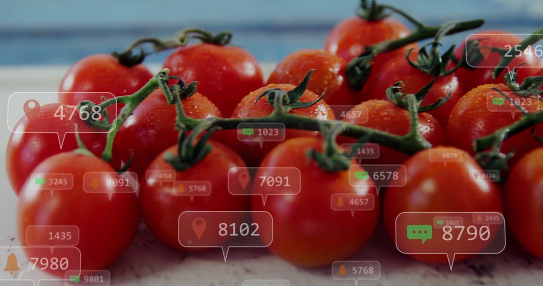 Fresh Vine Tomatoes with Digital Interface and Notification Icons